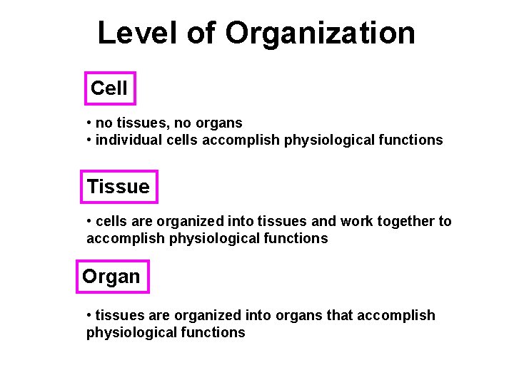 Level of Organization Cell • no tissues, no organs • individual cells accomplish physiological
