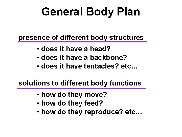 General Body Plan presence of different body structures • does it have a head?