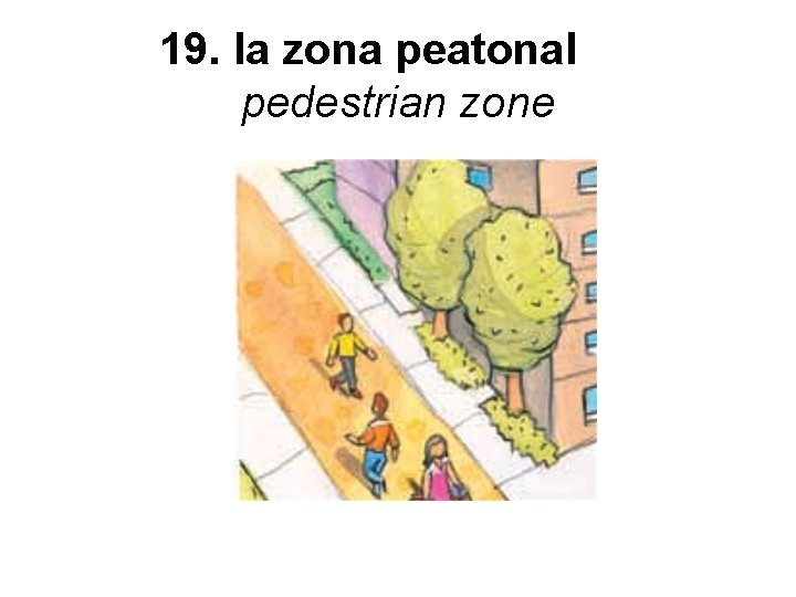 19. la zona peatonal pedestrian zone 