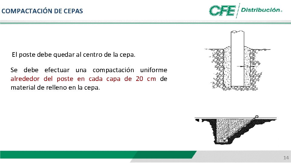 COMPACTACIÓN DE CEPAS El poste debe quedar al centro de la cepa. Se debe