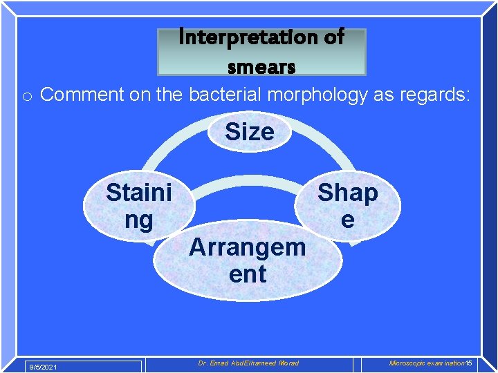 Interpretation of smears o Comment on the bacterial morphology as regards: Size Staini ng