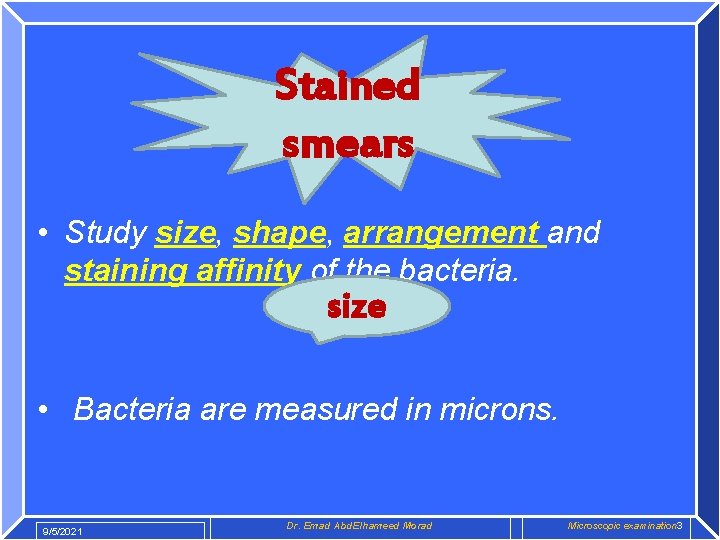 Stained smears • Study size, shape, arrangement and staining affinity of the bacteria. size