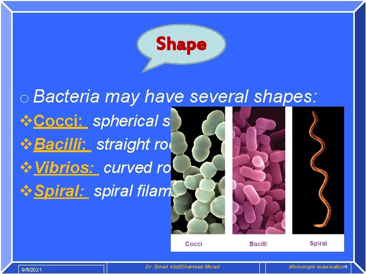Shape o Bacteria may have several shapes: v. Cocci: spherical shape v. Bacilli: straight