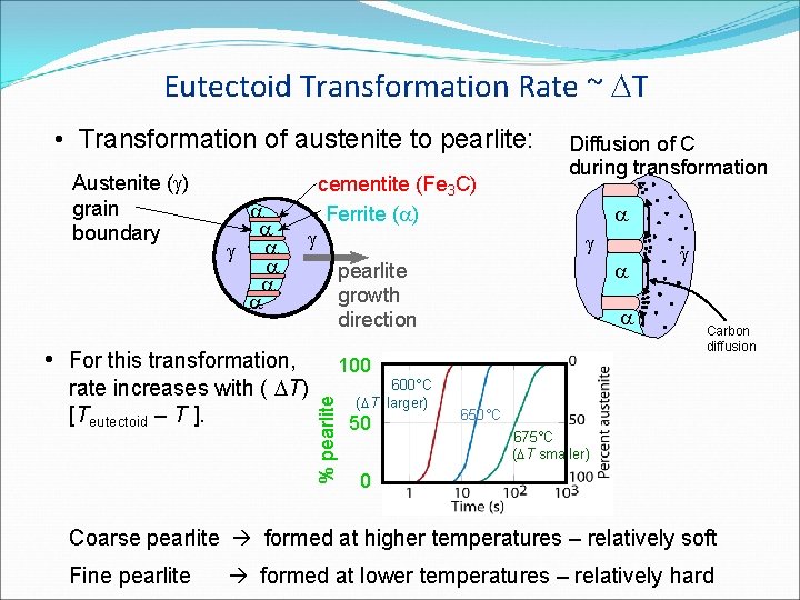 Eutectoid Transformation Rate ~ T • Transformation of austenite to pearlite: Austenite (g) grain
