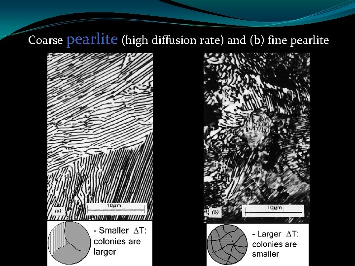 Coarse pearlite (high diffusion rate) and (b) fine pearlite 