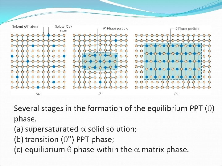 Several stages in the formation of the equilibrium PPT ( ) phase. (a) supersaturated