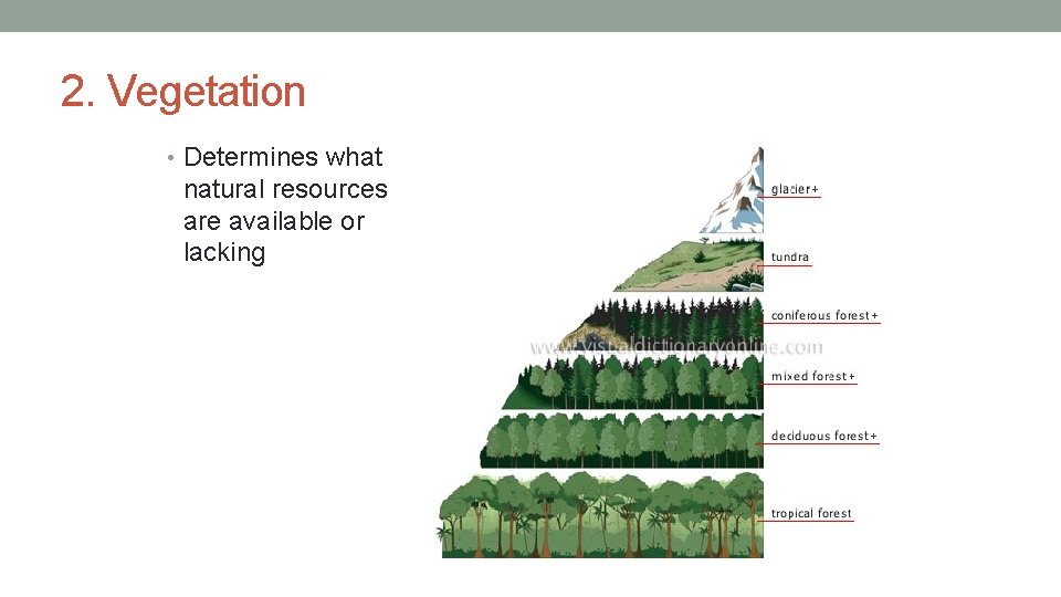 2. Vegetation • Determines what natural resources are available or lacking 