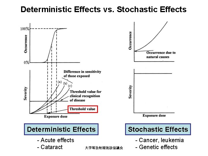 Deterministic Effects vs. Stochastic Effects Deterministic Effects - Acute effects - Cataract 大学等放射線施設協議会 Stochastic