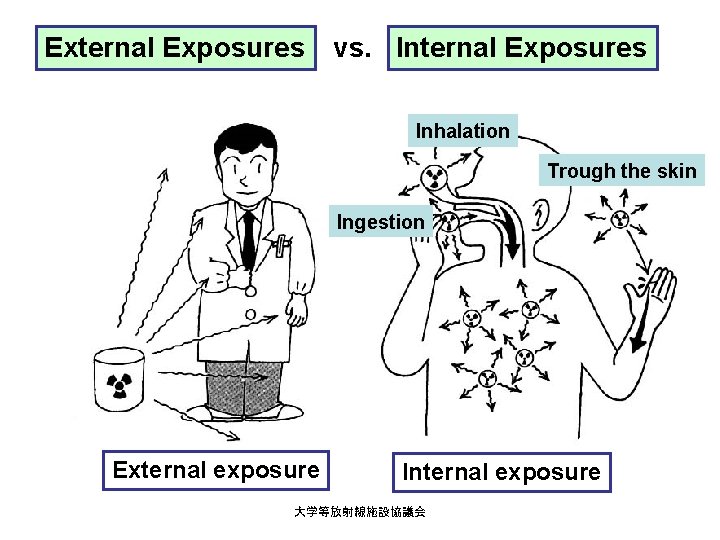 External Exposures vs. Internal Exposures Inhalation Trough the skin Ingestion External exposure Internal exposure