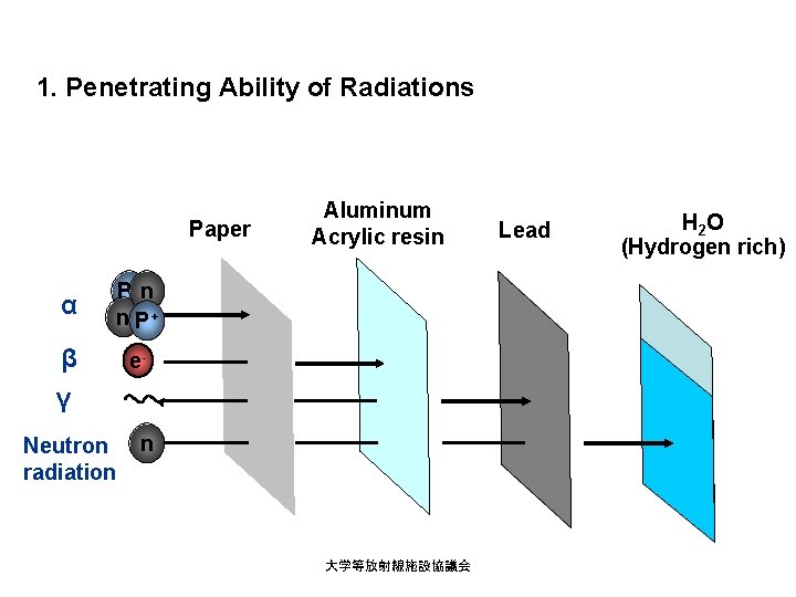 1. Penetrating Ability of Radiations Paper α P+n n P+ β γ e- Neutron