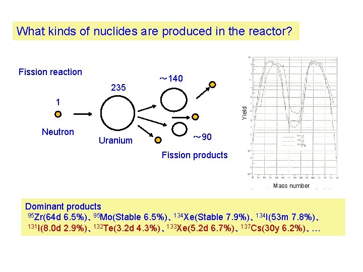 What kinds of nuclides are produced in the reactor? Fission reaction 235 ～ 140