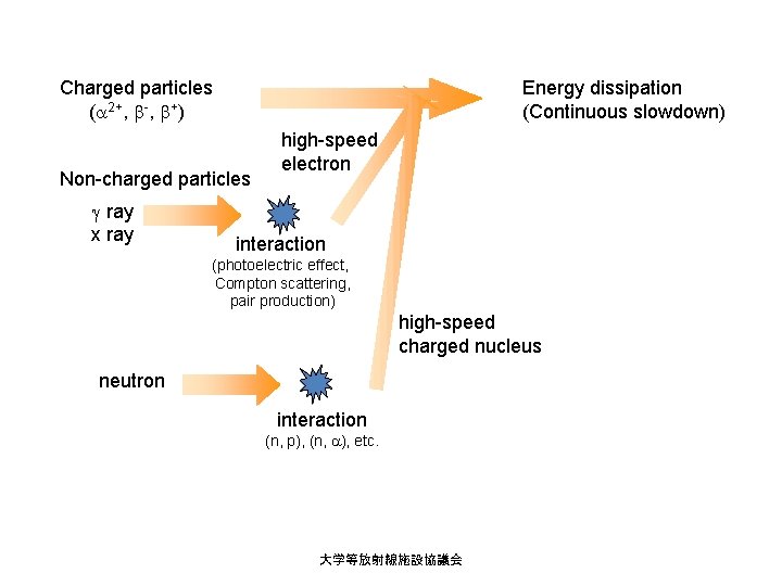 Charged particles (a 2+, b-, b+) Energy dissipation (Continuous slowdown) Non-charged particles g ray