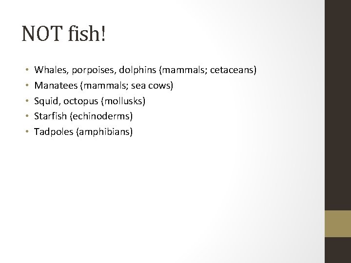 NOT fish! • • • Whales, porpoises, dolphins (mammals; cetaceans) Manatees (mammals; sea cows)