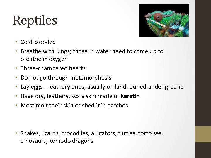 Reptiles • Cold-blooded • Breathe with lungs; those in water need to come up