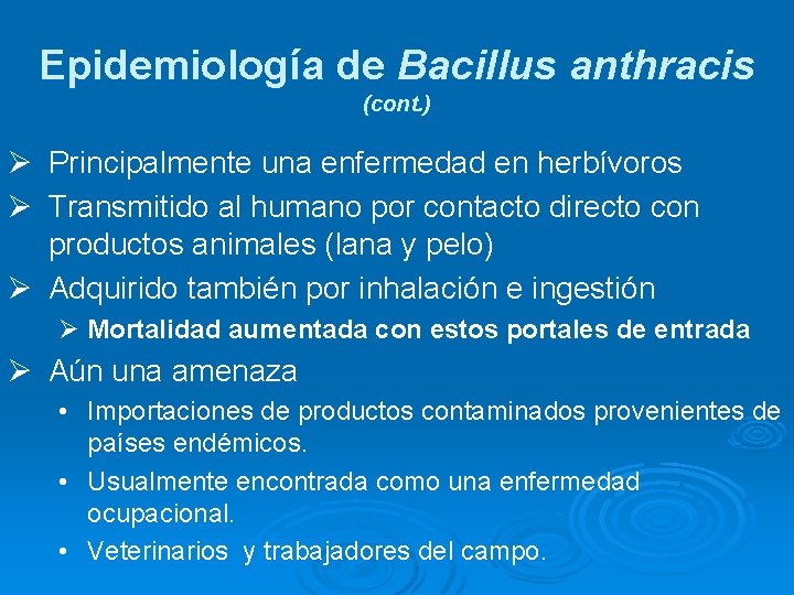 Epidemiología de Bacillus anthracis (cont. ) Ø Principalmente una enfermedad en herbívoros Ø Transmitido