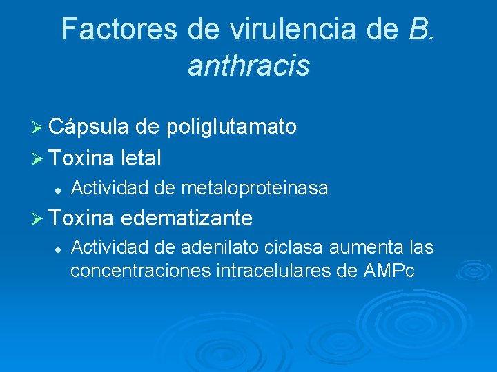 Factores de virulencia de B. anthracis Ø Cápsula de poliglutamato Ø Toxina letal l