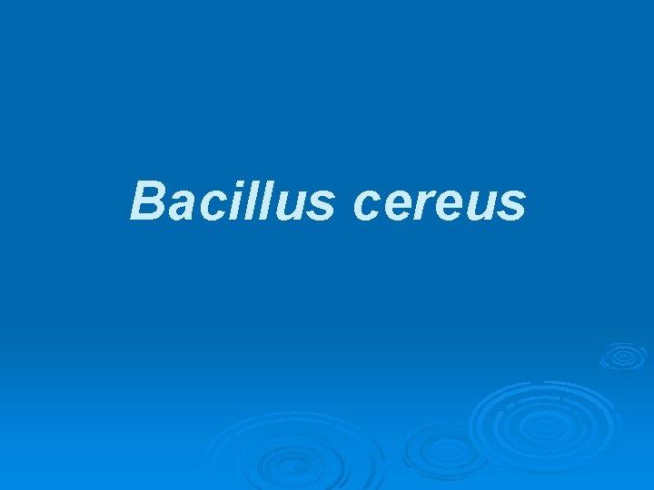 Bacillus cereus 