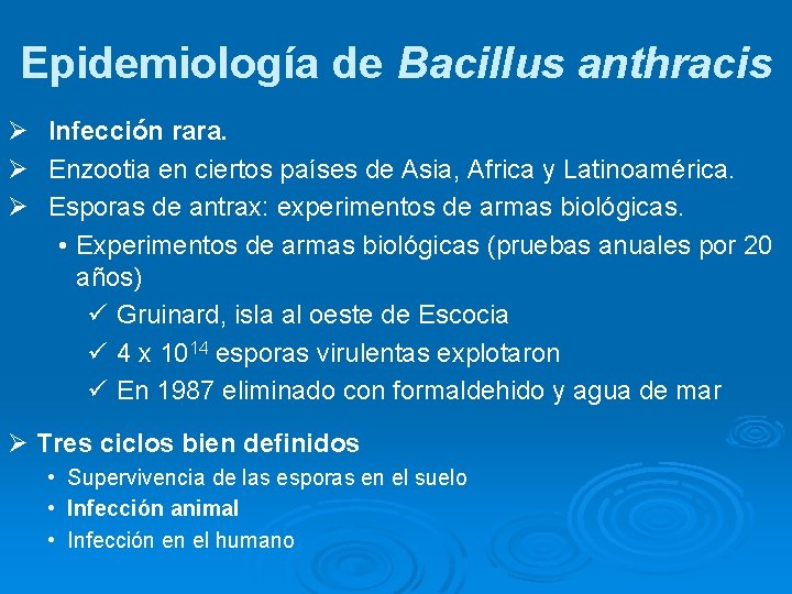 Epidemiología de Bacillus anthracis Ø Infección rara. Ø Enzootia en ciertos países de Asia,
