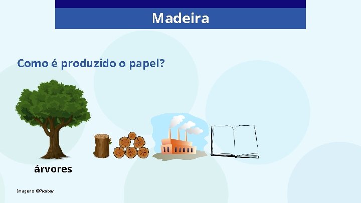 Madeira Como é produzido o papel? árvores Imagens: ©Pixabay 