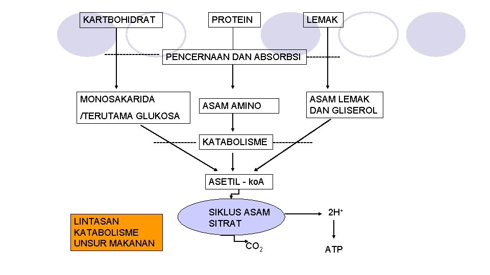 KARTBOHIDRAT PROTEIN LEMAK --------- PENCERNAAN DAN ABSORBSI ------ MONOSAKARIDA /TERUTAMA GLUKOSA ASAM AMINO ASAM