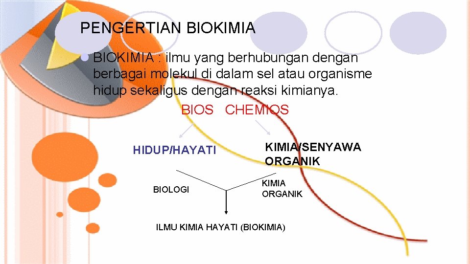 PENGERTIAN BIOKIMIA l BIOKIMIA : ilmu yang berhubungan dengan berbagai molekul di dalam sel