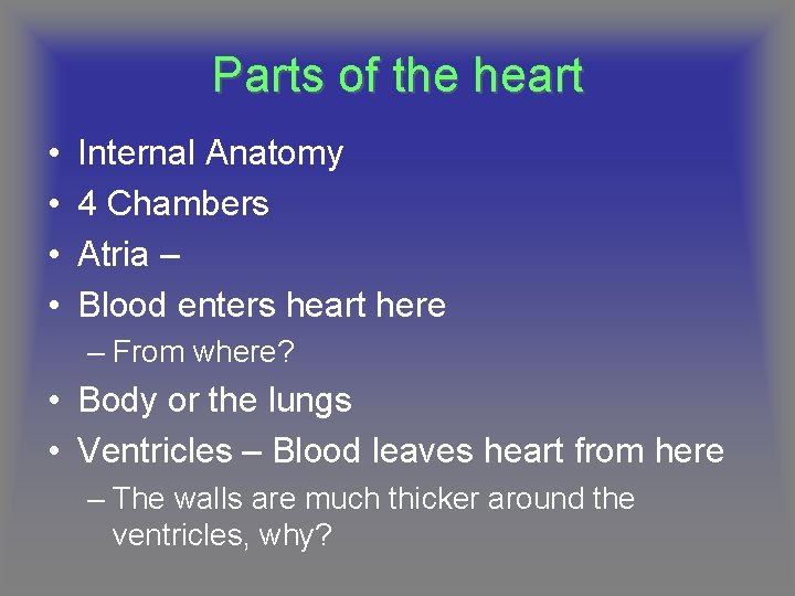 Parts of the heart • • Internal Anatomy 4 Chambers Atria – Blood enters