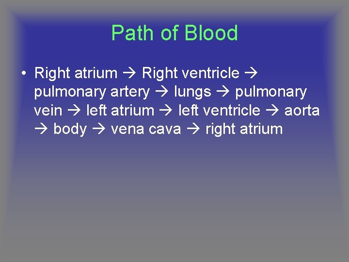 Path of Blood • Right atrium Right ventricle pulmonary artery lungs pulmonary vein left