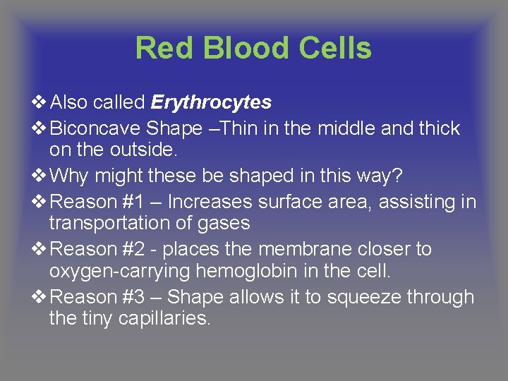 Red Blood Cells v Also called Erythrocytes v Biconcave Shape –Thin in the middle
