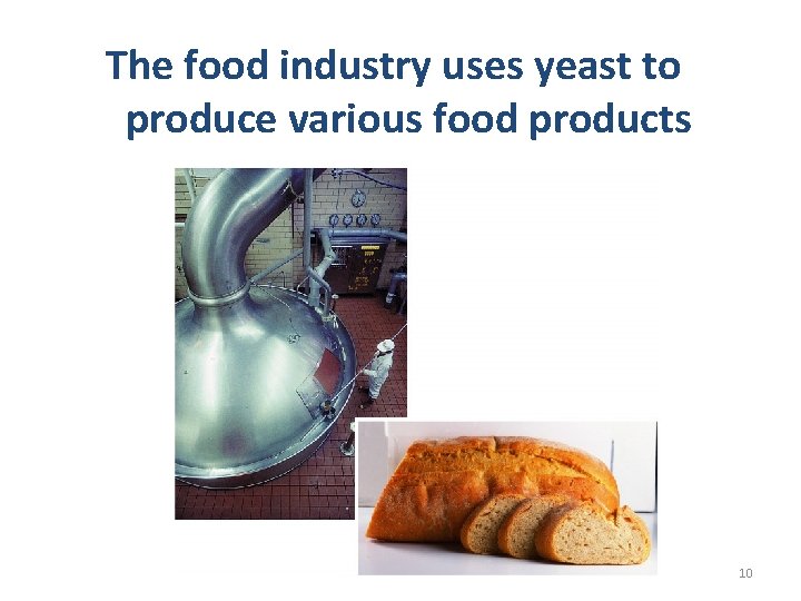 The food industry uses yeast to produce various food products 10 