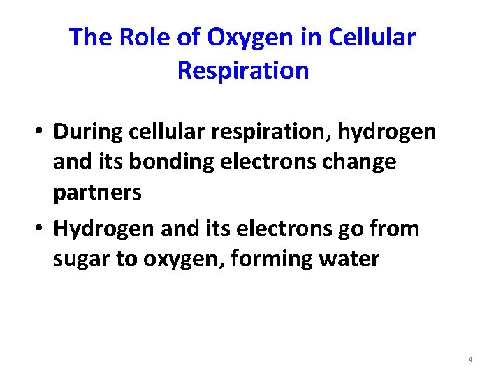 The Role of Oxygen in Cellular Respiration • During cellular respiration, hydrogen and its