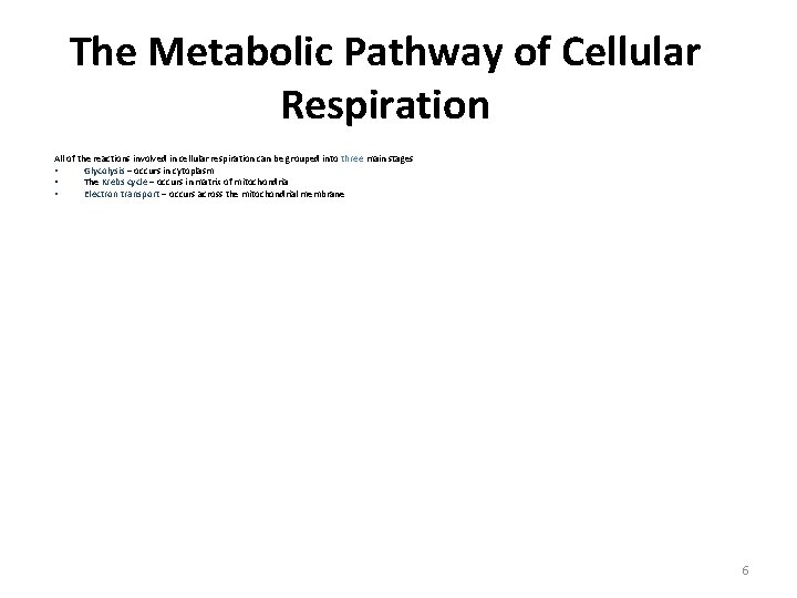 The Metabolic Pathway of Cellular Respiration All of the reactions involved in cellular respiration