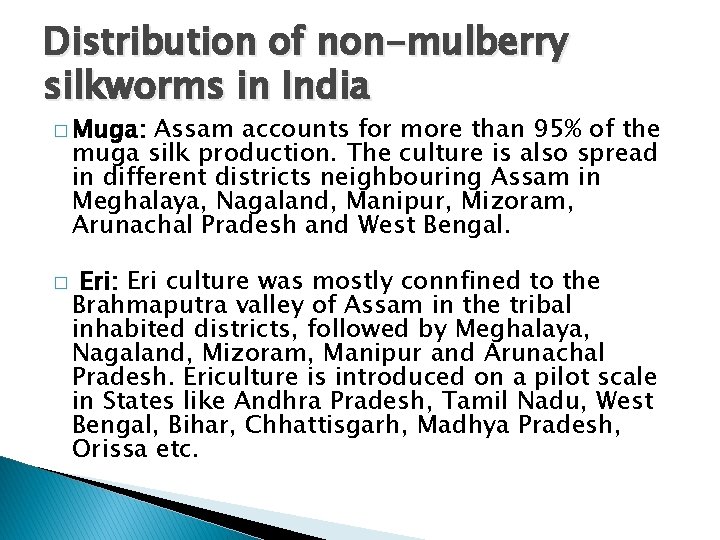 Distribution of non-mulberry silkworms in India � Muga: Assam accounts for more than 95%
