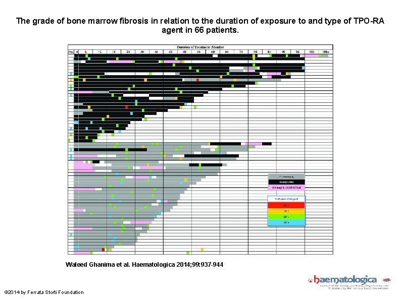 The grade of bone marrow fibrosis in relation to the duration of exposure to