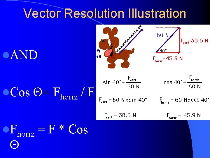 Vector Resolution Illustration l. AND l. Cos = Fhoriz / F l. Fhoriz =