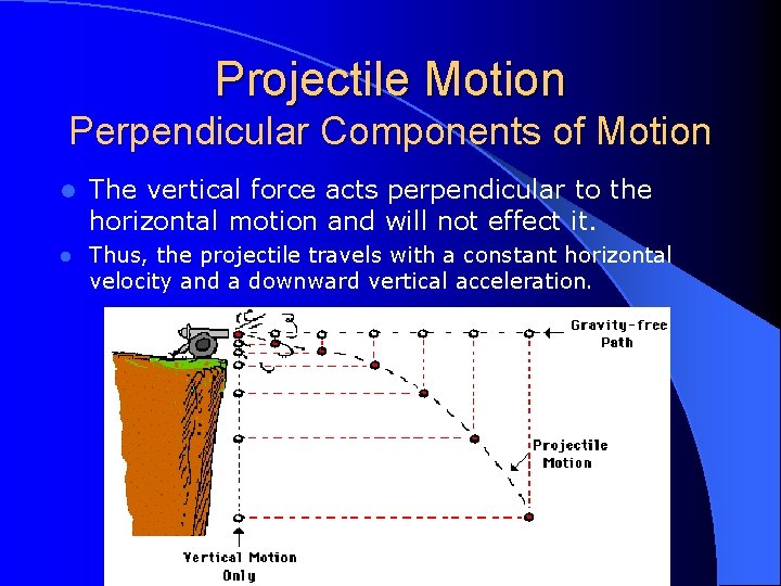 Projectile Motion Perpendicular Components of Motion l The vertical force acts perpendicular to the