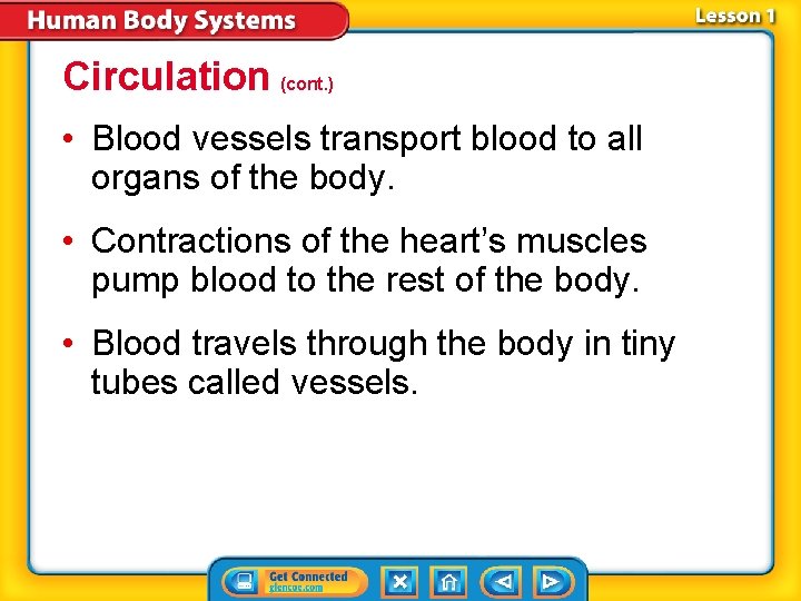 Circulation (cont. ) • Blood vessels transport blood to all organs of the body. Circulation (cont. ) • Blood vessels transport blood to all organs of the body.