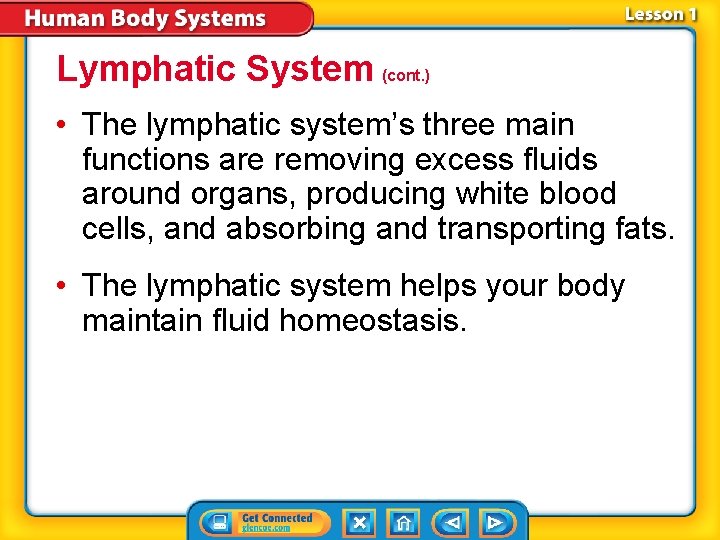 Lymphatic System (cont. ) • The lymphatic system’s three main functions are removing excess Lymphatic System (cont. ) • The lymphatic system’s three main functions are removing excess