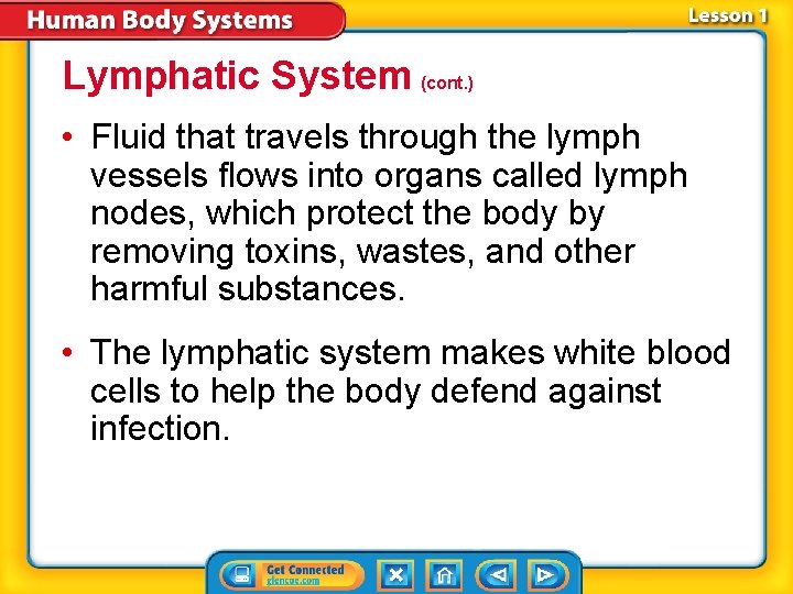 Lymphatic System (cont. ) • Fluid that travels through the lymph vessels flows into Lymphatic System (cont. ) • Fluid that travels through the lymph vessels flows into