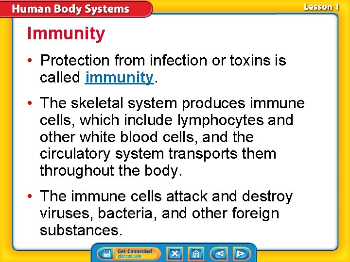 Immunity • Protection from infection or toxins is called immunity. • The skeletal system Immunity • Protection from infection or toxins is called immunity. • The skeletal system