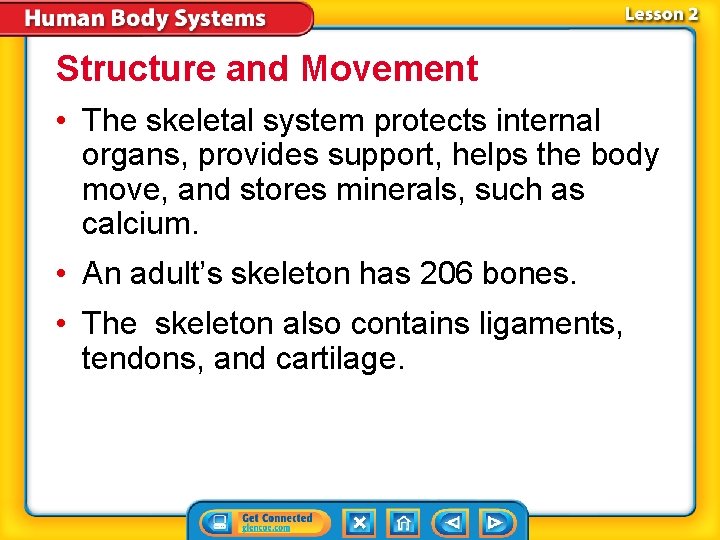 Structure and Movement • The skeletal system protects internal organs, provides support, helps the Structure and Movement • The skeletal system protects internal organs, provides support, helps the