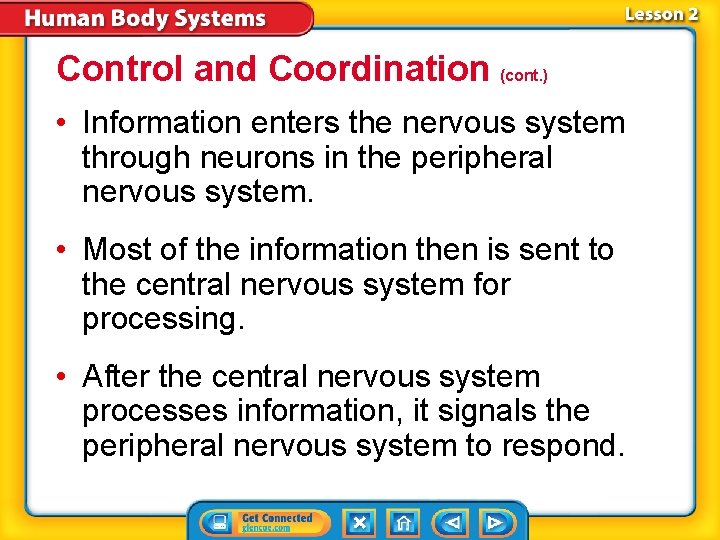 Control and Coordination (cont. ) • Information enters the nervous system through neurons in Control and Coordination (cont. ) • Information enters the nervous system through neurons in