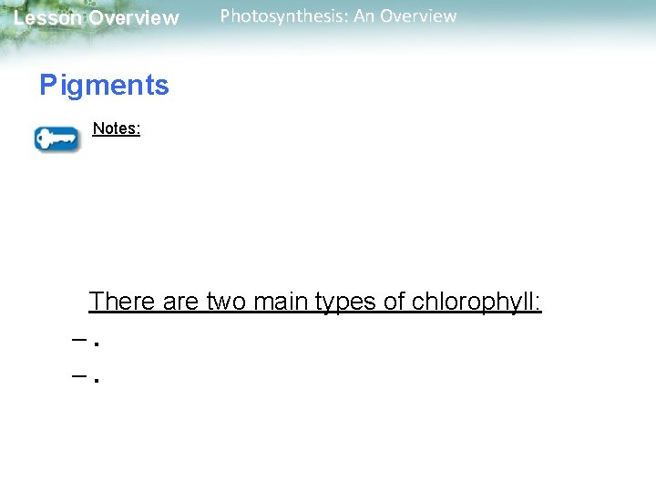 Lesson Overview Photosynthesis: An Overview Pigments Notes: There are two main types of chlorophyll: