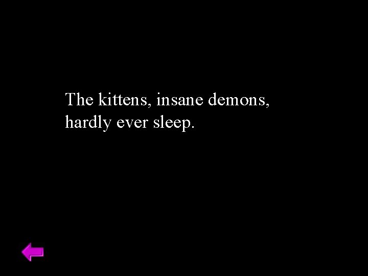 The kittens, insane demons, hardly ever sleep. 