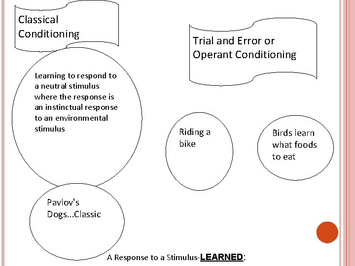 Classical Conditioning Trial and Error or Operant Conditioning Learning to respond to a neutral