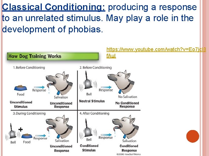 Classical Conditioning: producing a response to an unrelated stimulus. May play a role in