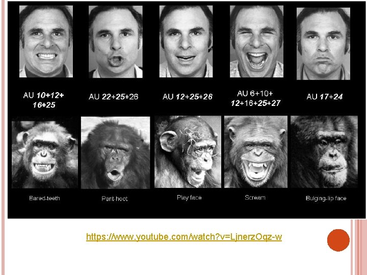 https: //www. youtube. com/watch? v=Ljnerz. Oqz-w 