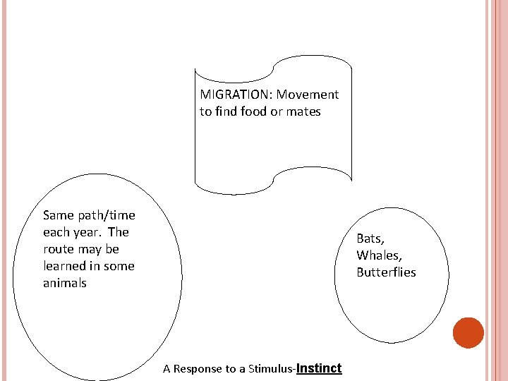 MIGRATION: Movement to find food or mates Same path/time each year. The route may