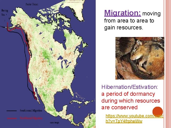 Migration: moving from area to gain resources. Hibernation/Estivation: a period of dormancy during which
