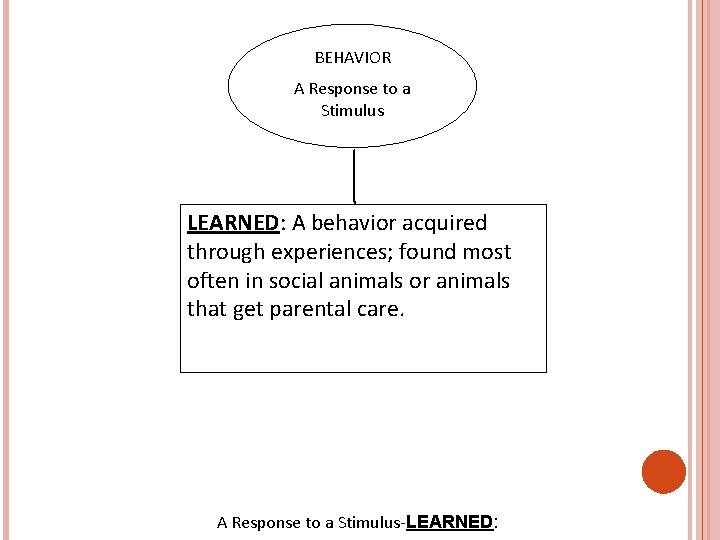BEHAVIOR A Response to a Stimulus LEARNED: A behavior acquired through experiences; found most