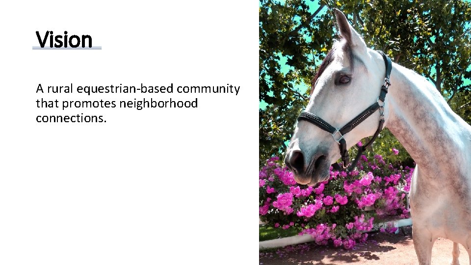 Vision A rural equestrian-based community that promotes neighborhood connections. 